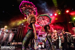 Concert de Little Steven & The Disciples of Soul a la sala Apolo (Barcelona) 